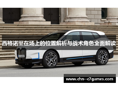 西格诺里在场上的位置解析与战术角色全面解读