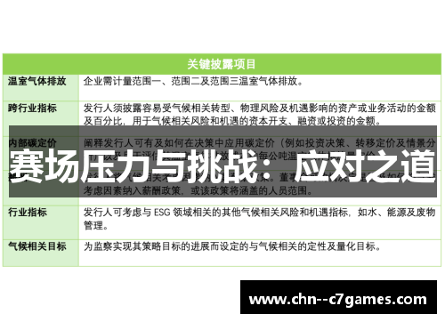 赛场压力与挑战：应对之道