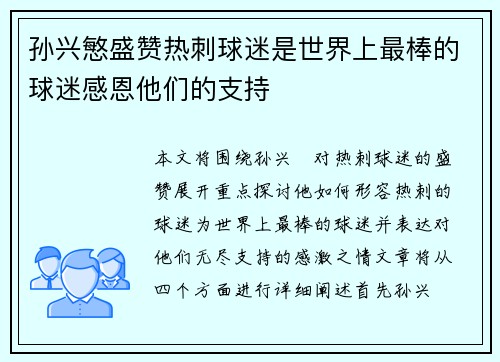 孙兴慜盛赞热刺球迷是世界上最棒的球迷感恩他们的支持